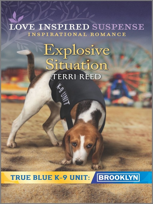 Title details for Explosive Situation by Terri Reed - Available
